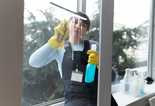 Nettoyage de vitres intérieures et extérieures à Trébons